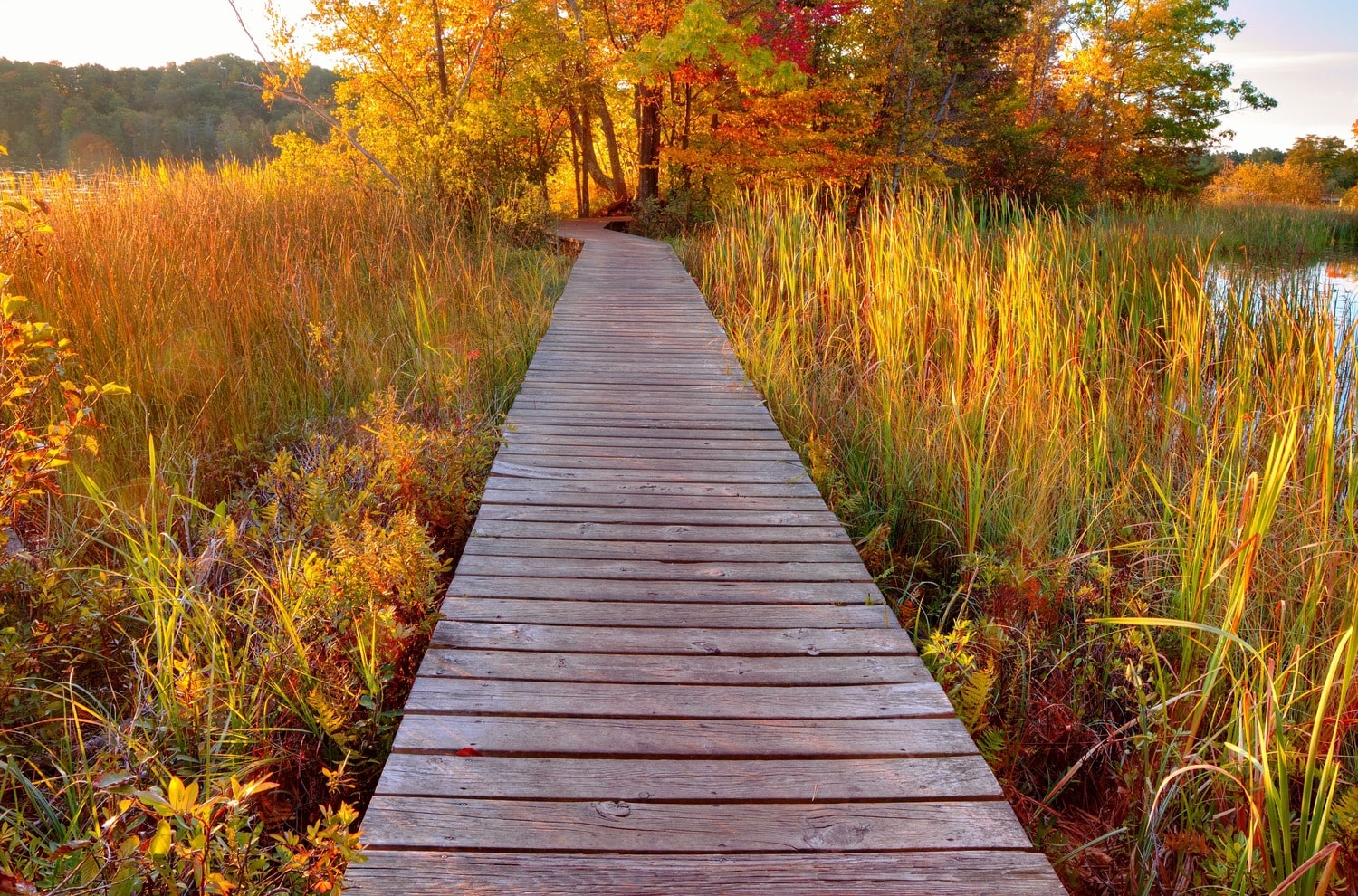 Gladwin Property Management